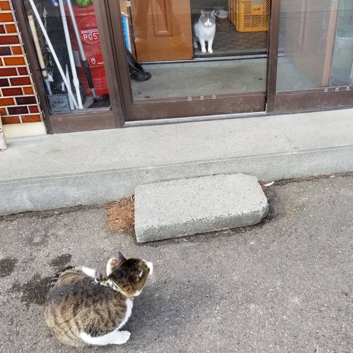 E2cfee65 68f0 4bc3 94c5 d55148e4ef17 1584356260604