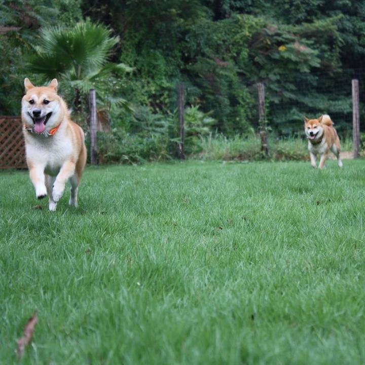 E2cff091 e23f 4d0e a5f7 b4573d9265e3 1664359528874