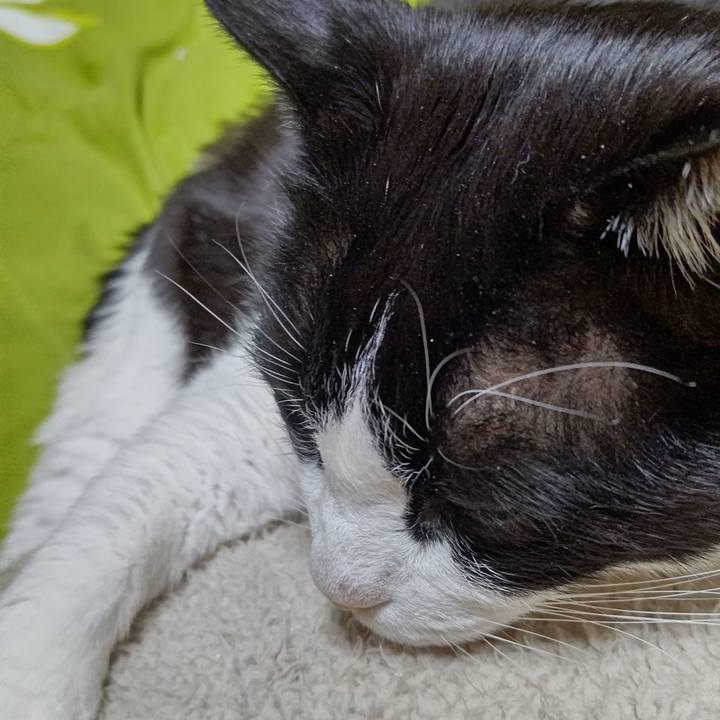 E2d019f3 8aef 406a 836f 0933113feda6 1642368847797