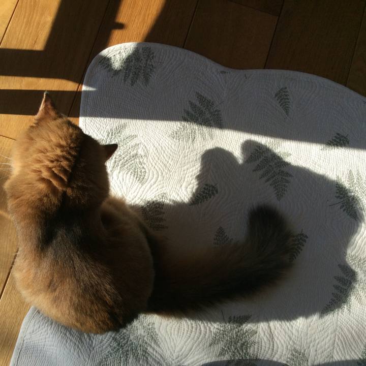 E2d02104 15f2 450a aa06 f822c0d4f5a2 1576460809640