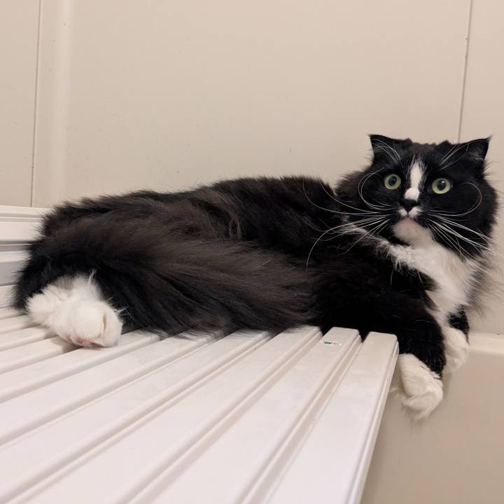 E2d0271a 8676 4ab4 9316 b9015ea00ed1 1745710389089