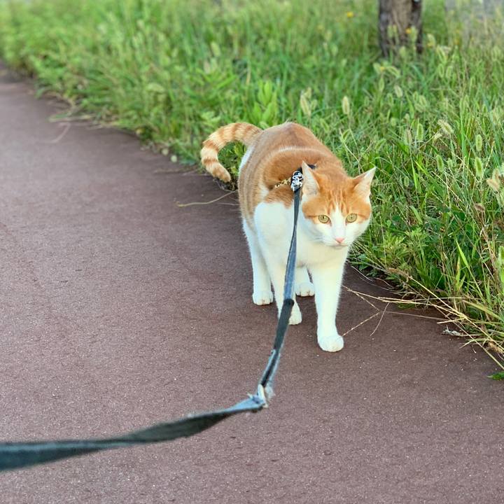 E2d027c6 1d23 43e6 b7cd 17faf72f8b89 1601983890026