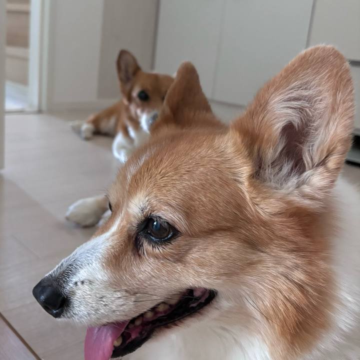 E2d06f49 7aaa 441d 8fae 2e26382f7682 1751158274890