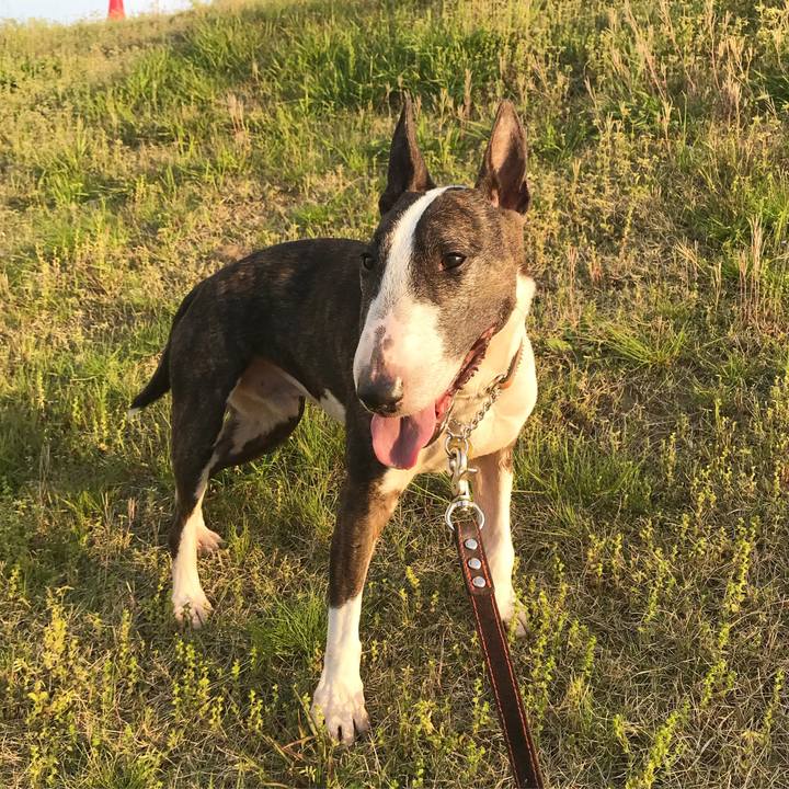 E2d07894 079d 439b bad1 2d61fa343c27 1524387557663