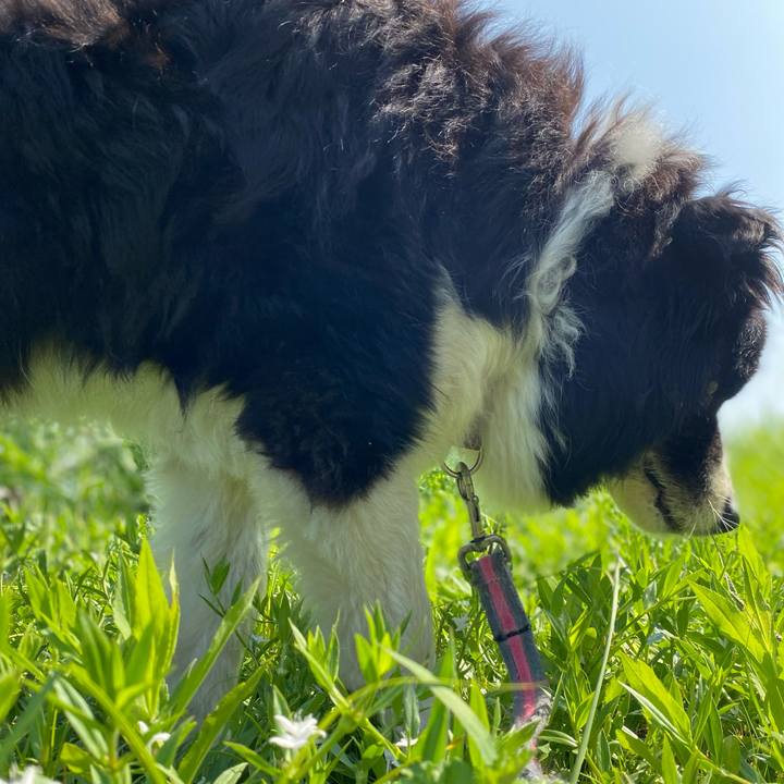 E2d0af4f 89f6 47e1 b098 cbc160798d9f 1691899362504