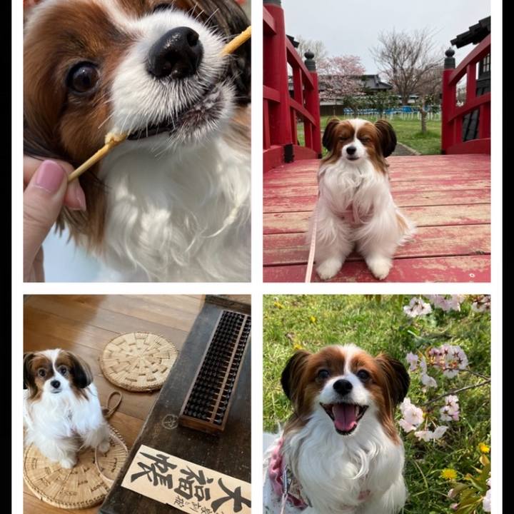 E2d0d65a 16c4 43dd a727 c243cdd51145 1745799676489