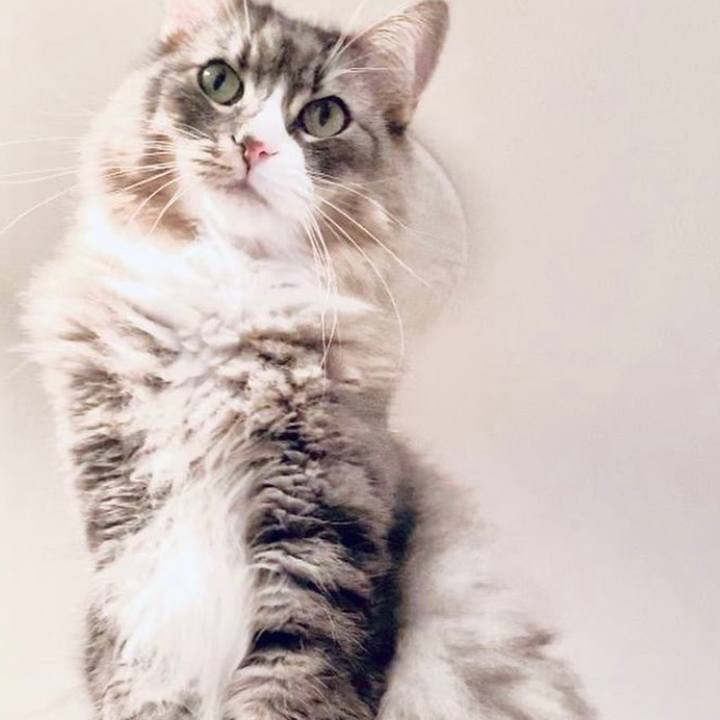 E2d14b94 00e1 446e 9b52 d258910746ae 1625418851449