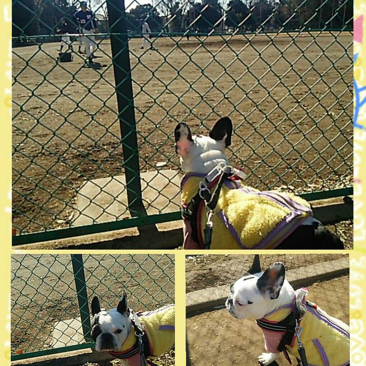 E2d1ba97 ea8b 47d3 9edb 474879e69c87 1515891225956