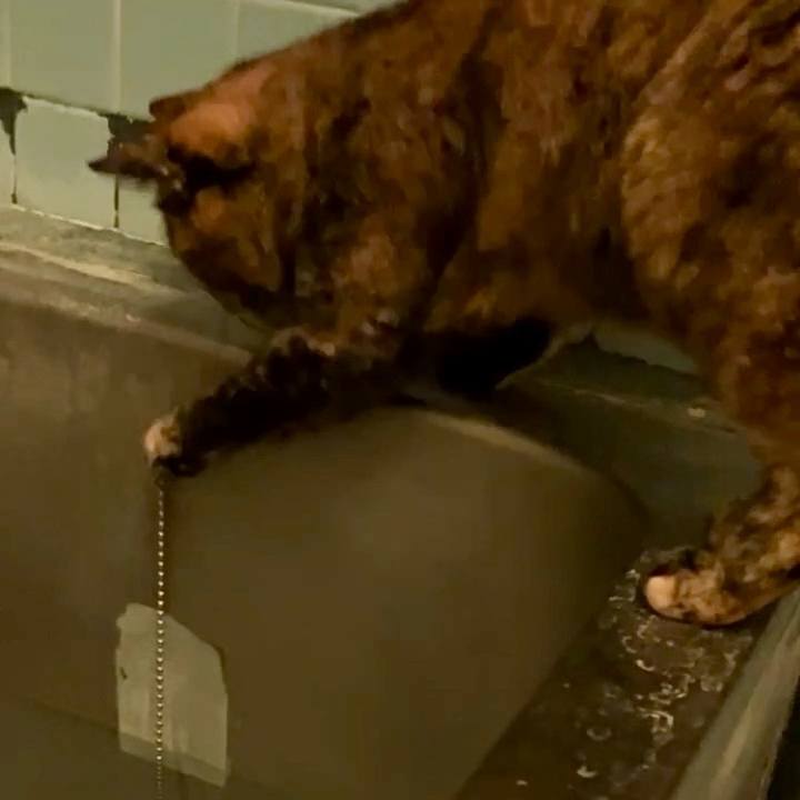 E2d1bfc9 d60f 4ef2 960b aea3017e1048 1727987420294