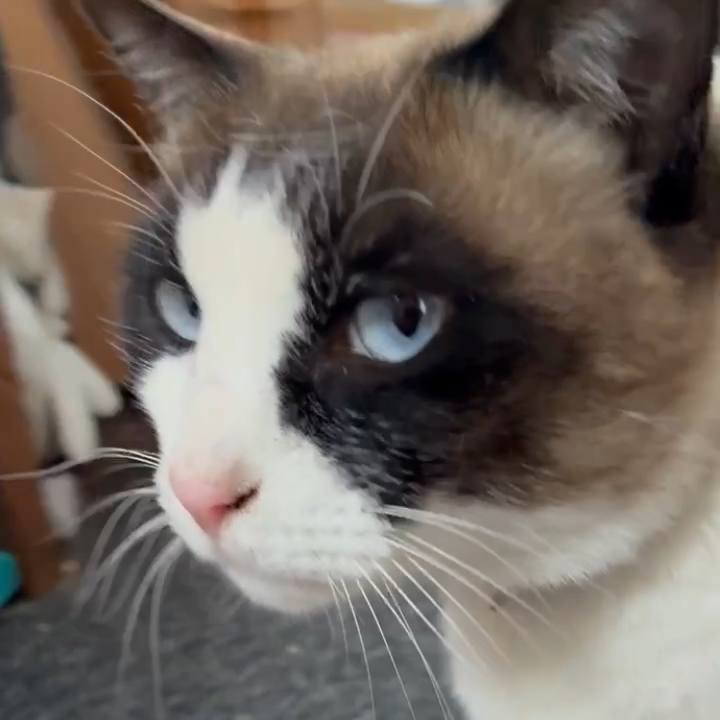 E2d20c0b 0c6d 4d17 9a50 012957c01b49 1773055066840