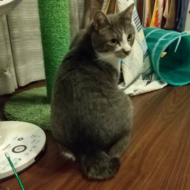 E2d2129a 37b5 4725 a363 66509dad27c6 1608458872028