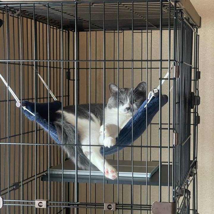 E2d214a1 f4d8 40c5 877e bc721101e536 1662261423089