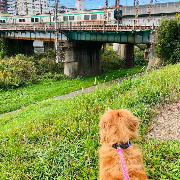 E2d223b3 7c60 41e1 8a80 c9a3f18c002a 1762054160274