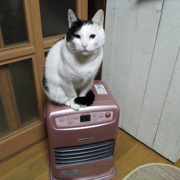 E2d26302 9056 46ff 8c38 b27b37e41769 1514042890385