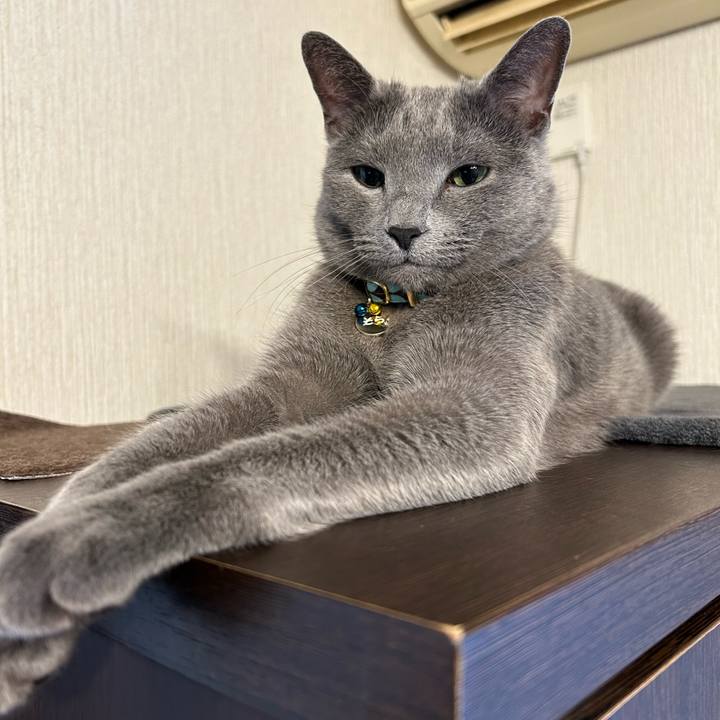 E2d273c1 0d4c 4181 a05d 01953080a722 1679190235586