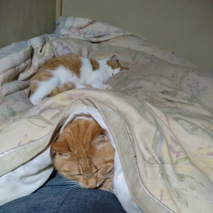 E2d27490 f354 4510 b421 44b7c768c369 1764762747798