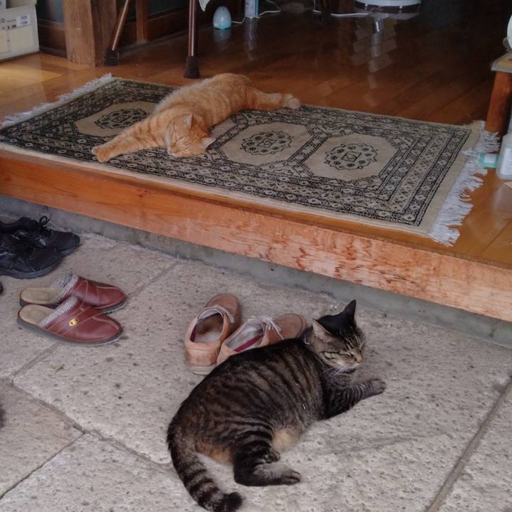 E2d2ac0f 4c49 4663 9cef e89badf696c8 1724315066668