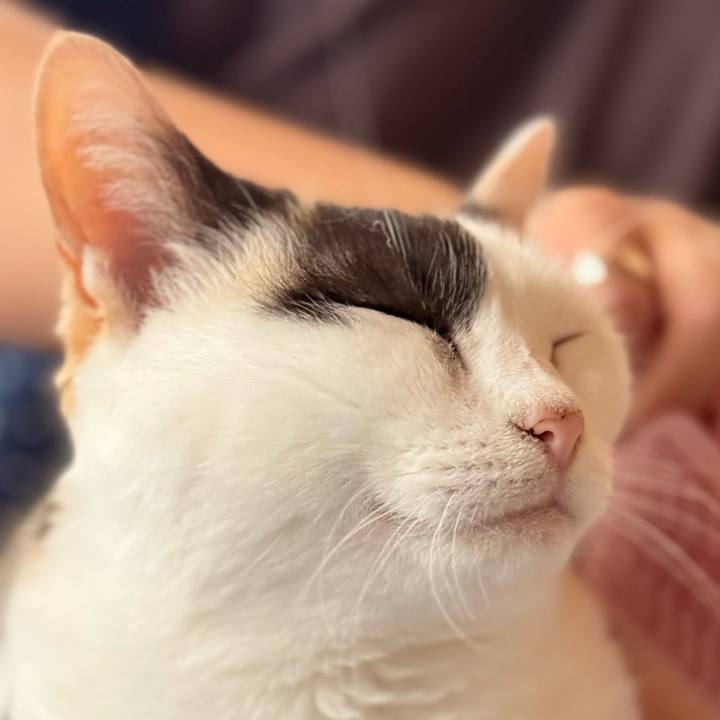 E2d2f846 14a2 4f5f 984a 6e205a1d50ea 1748053820133