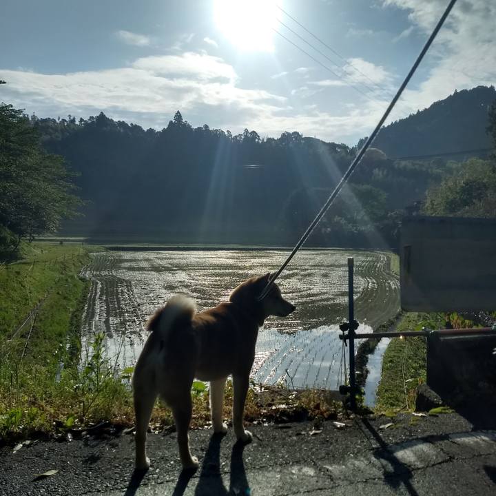 E2d324ae 7c6c 47a9 a8a9 9a06a660d3cc 1557151687892