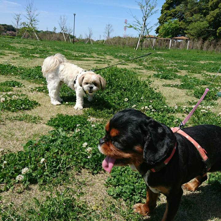 E2d329c5 38d3 4359 acba 1557804dc8f8 1556430816351