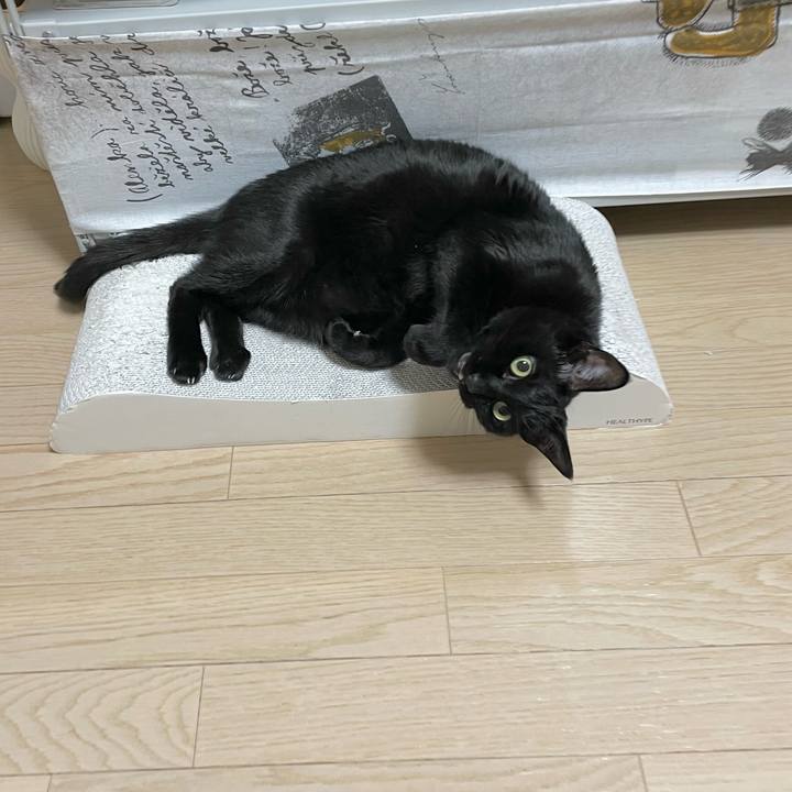 E2d32c38 f23d 4f9d adf1 22d23dc7e3df 1642768227966