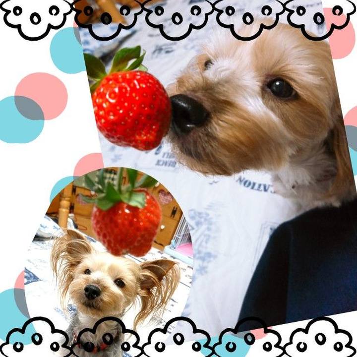 E2d338f1 30e3 4be8 88c3 6bc63c1e496a 1559123624685