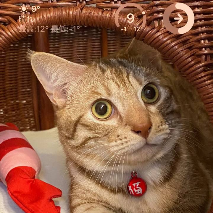 E2d340a9 875a 4228 865b 4b2c90470aac 1677480491665