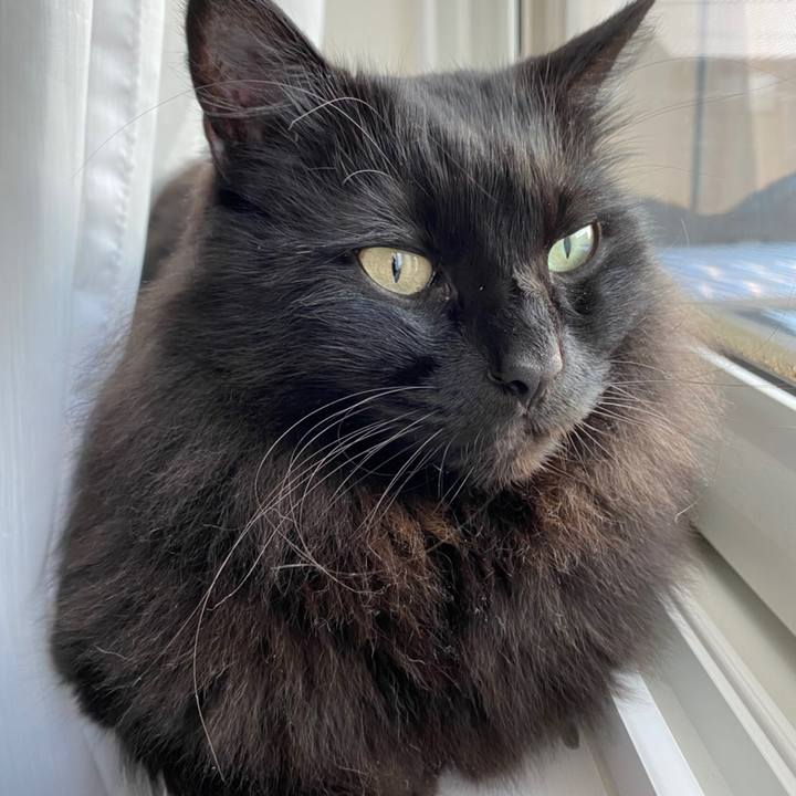 E2d36a8b f2cf 4e89 b168 5c83f8126b8c 1581719110741