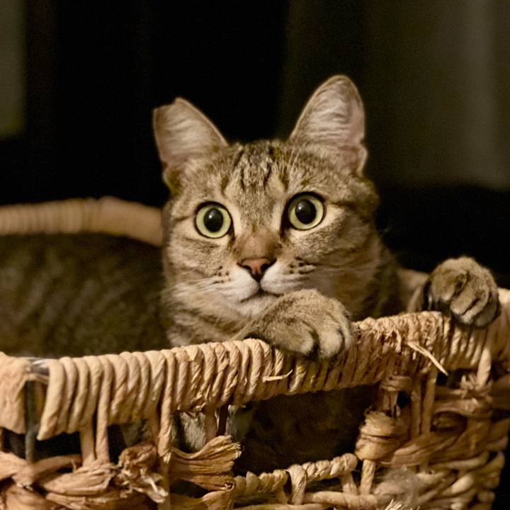 E2d36df5 fede 46f6 8e80 b99160c8aa68 1763555396603