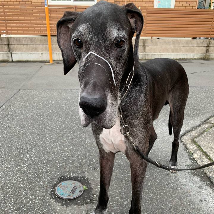 E2d37cc1 7889 4d23 a93c fa031533aeb4 1604794567047