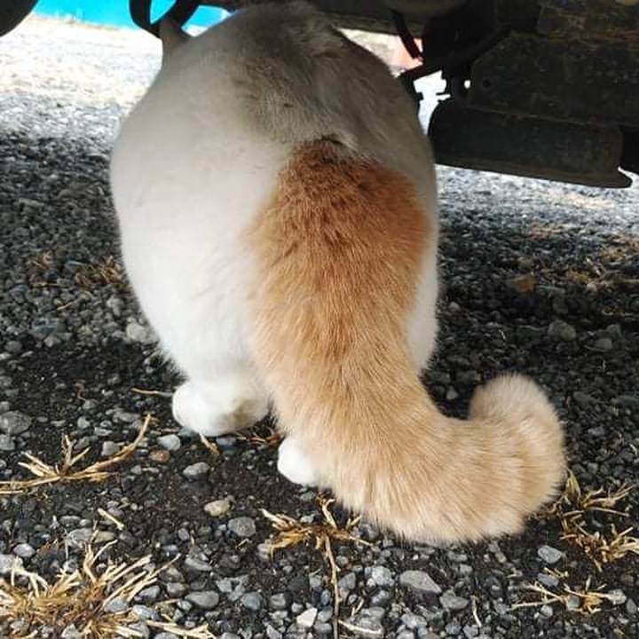 E2d38cb7 b834 42bc bd52 c7dbd75b359e 1644903613267