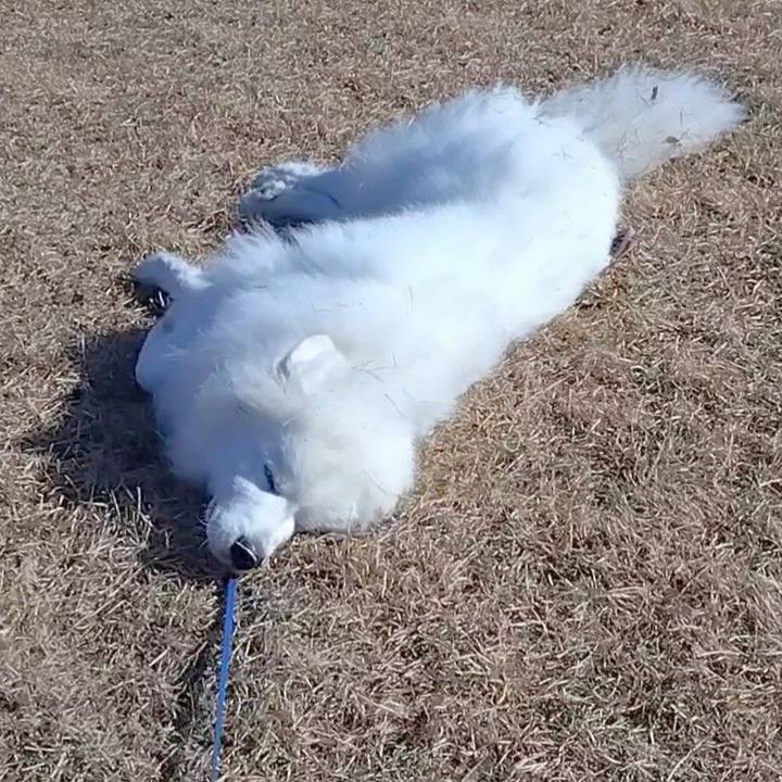 E2d39640 90a9 4570 86f6 3ea8bab0053b 1673148733614