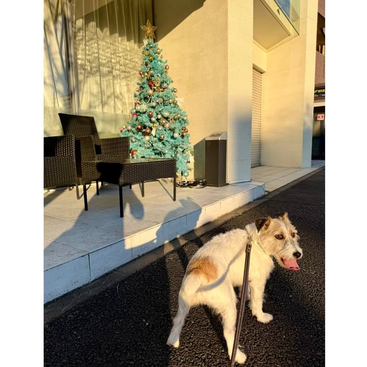 E2d3a507 5738 42da bcdb 7e1e80be1ff8 1766435802839