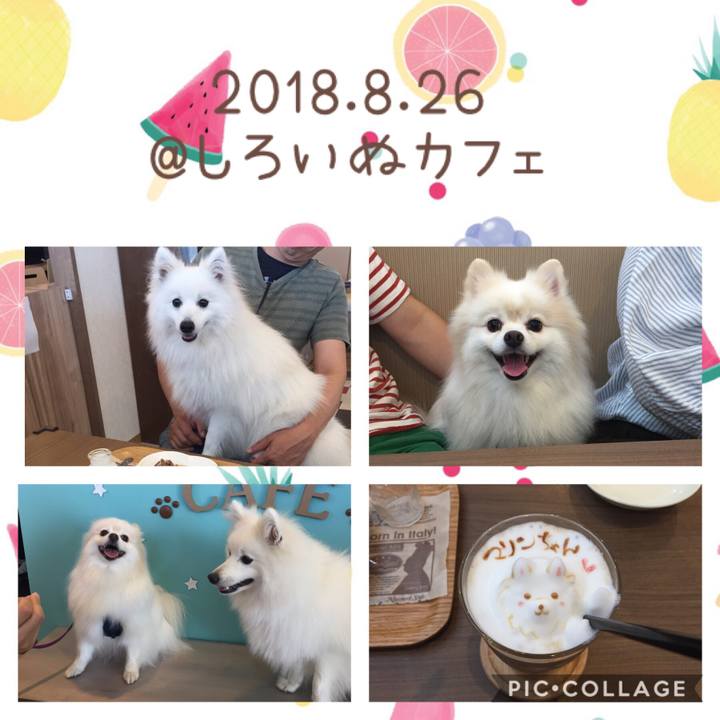 E2d3be2f 2e0e 400d 964d dc492820ca9e 1535342781769