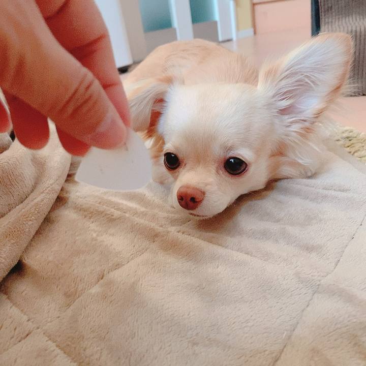 E2d3cd00 220a 4767 b51d 6ca9830085ae 1618739094359