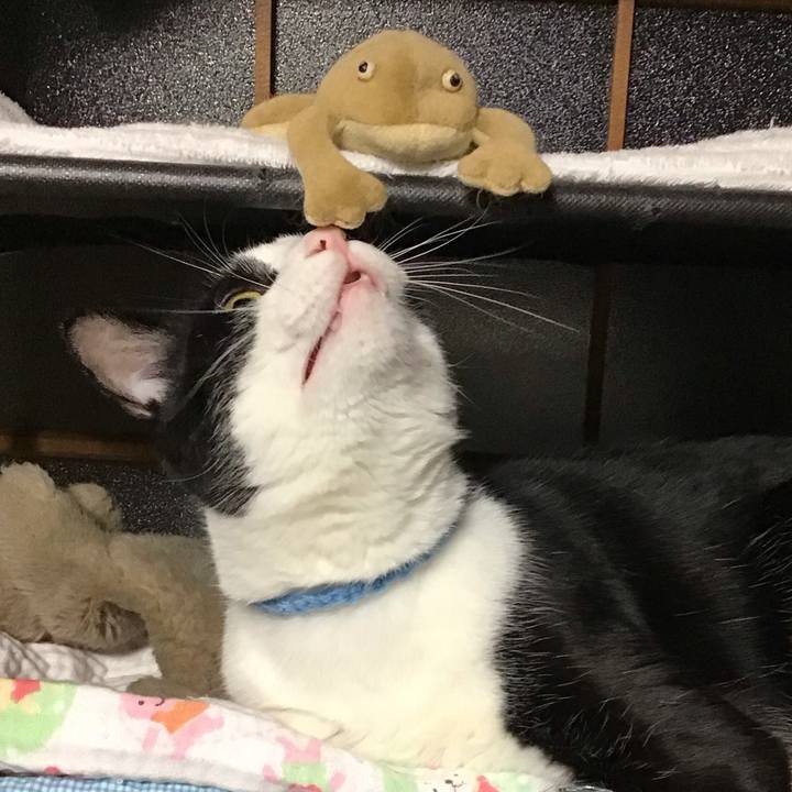 E2d3d6e6 0bb4 41d0 87a1 51fffd48a3d5 1734263467484