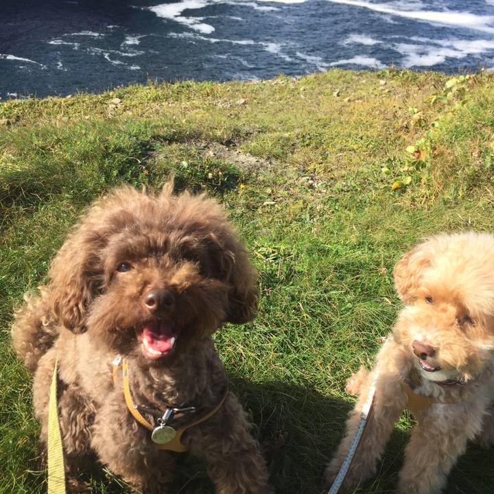 E2d3d866 0385 4804 a042 b10a70ea1de7 1535209260150