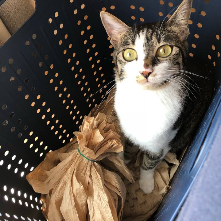 E2d3f057 c62f 4069 96e1 d5ddd48a163d 1525021195312