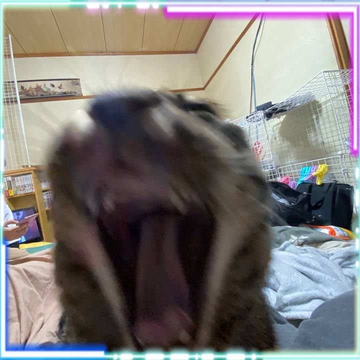 E2d3f2c8 7517 46e4 9bd2 4c58d5f7d8b5 1580370359775