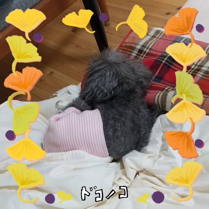 E2d476d6 ff8b 44b3 888c c0d40c52917d 1729729826157