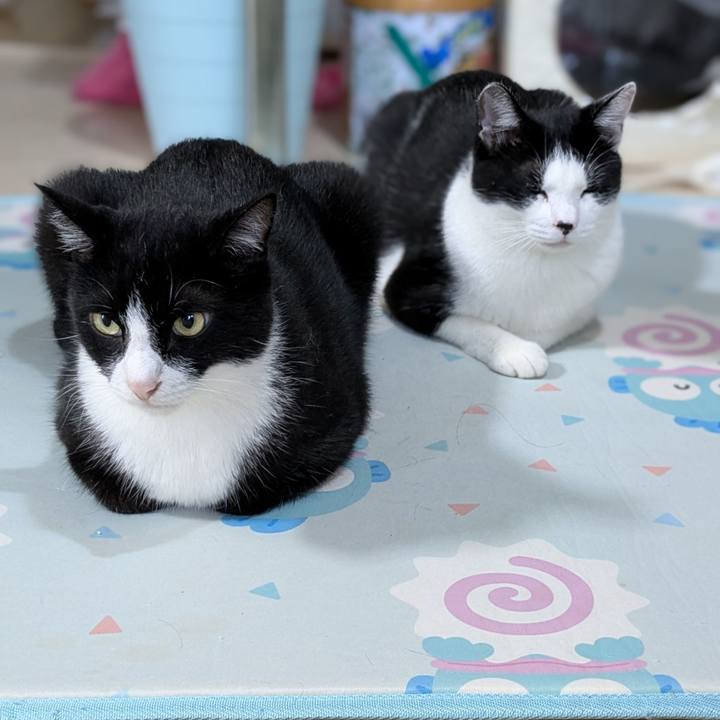 E2d49673 7926 4fef b357 1d706b10659a 1757082825711