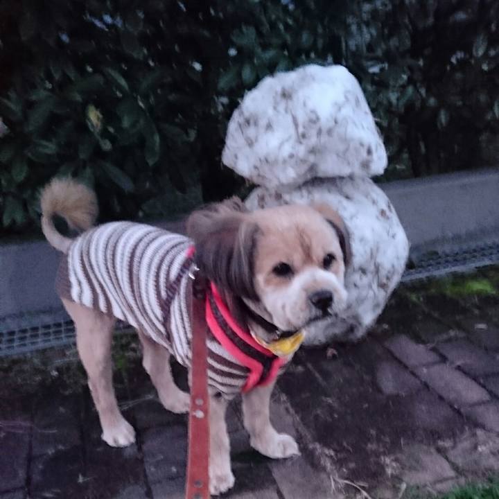 E2d4b52d 160f 4457 bde4 3c087ee604b7 1515748678542