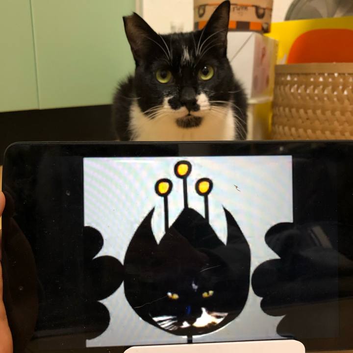 E2d4df88 548b 4a85 82c4 29d3883bd618 1550747059386