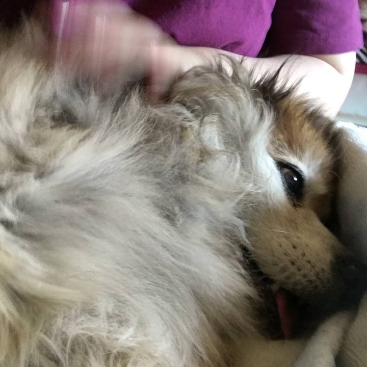 E2d50be1 d7a5 403a 8634 b00953801f82 1593314510113