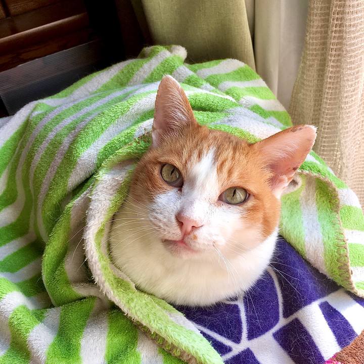 E2d54f5d db05 4749 ae37 44702fccb776 1605480206868