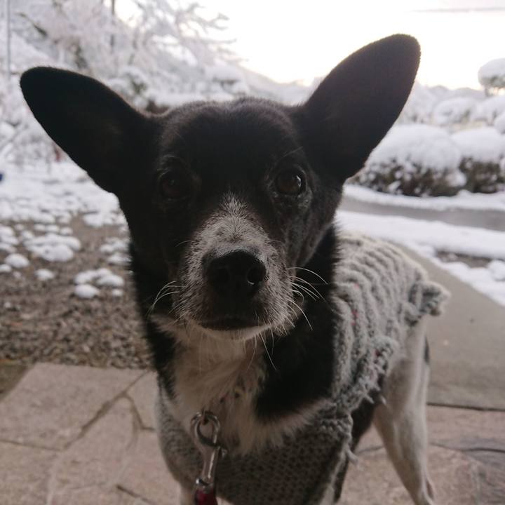 E2d575f9 ecf7 4894 8c17 4c2b627d0732 1639832462047