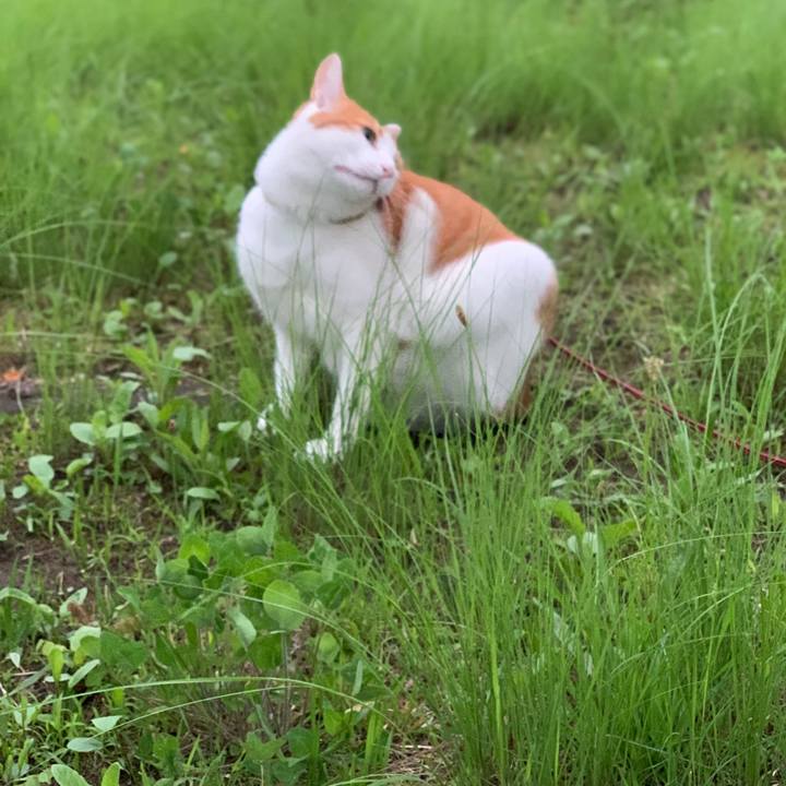 E2d57e68 21b0 4172 82d7 3aa5d5c92777 1594903099680