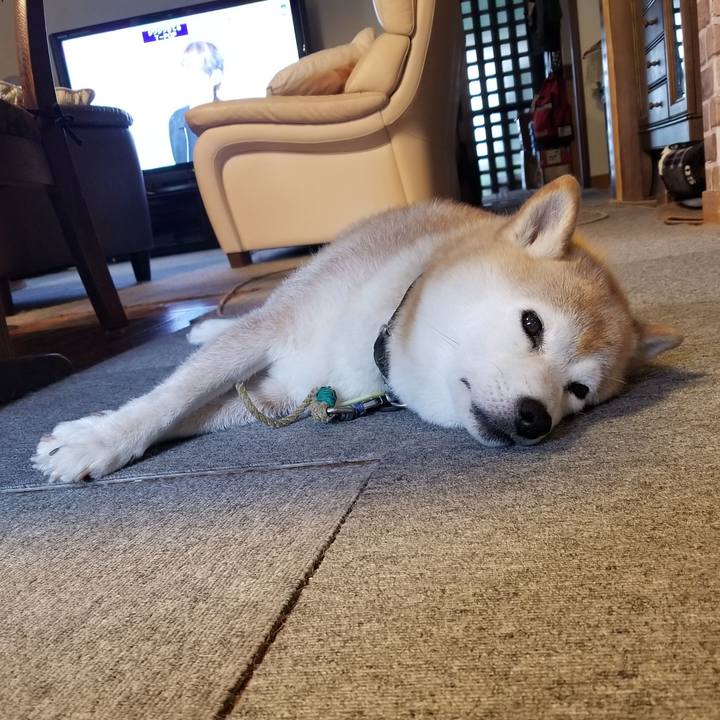 E2d5efd0 c4bd 461d 85ba 2f862b89772f 1658277545620