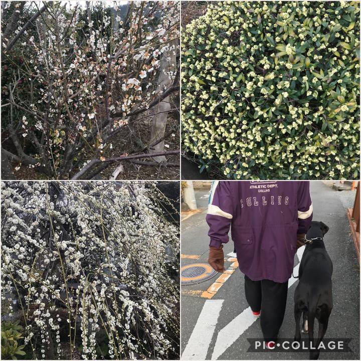 E2d60026 dc17 4f27 b813 07862e93814e 1519515286023