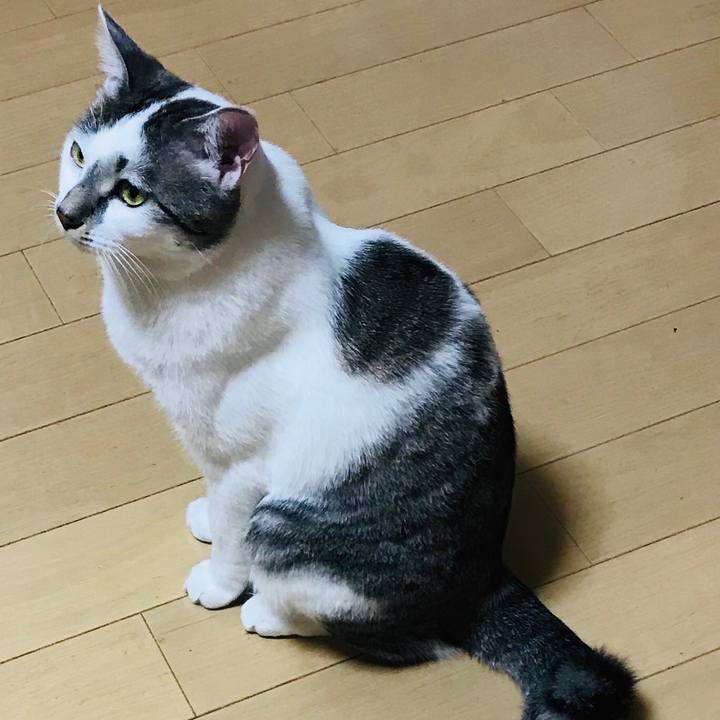 E2d60314 66dc 430d b963 8bba89e76327 1579184275898